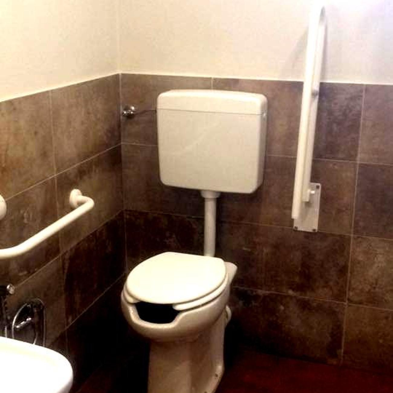 Wc da disabili con maniglione ribaltabile e maniglione fisso 